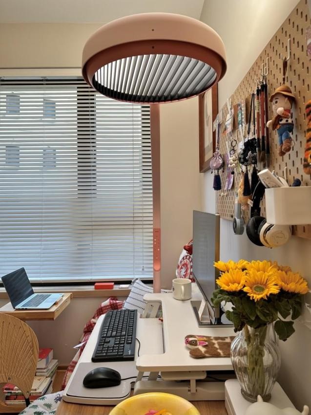 2025 年大路灯选购指南：这三个品牌让护眼与体验双赢