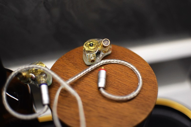 惊艳 竹林鸟惊鸿2022版