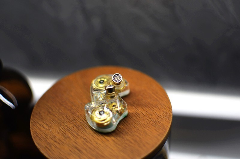 惊艳 竹林鸟惊鸿2022版