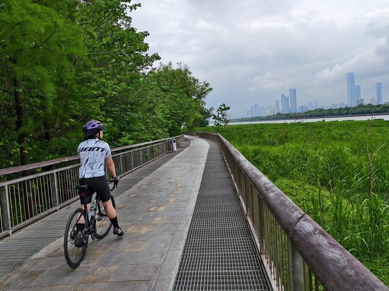 平价也能出大片！彩族C19微单测评：新手入门真香之选！