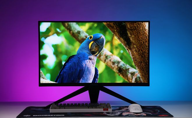 选购显示器，一步到位还是先凑合着用？蚂蚁电竞ANT27VU 4K144Hz高刷显示器简测