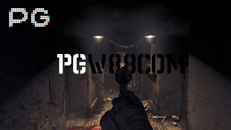 失忆症：PGsteam上统计游戏时间8小时，但有4小时都在看笑话压惊