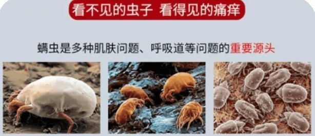 十大除螨仪综合测评：高质量除螨仪十大文明用语排行榜最新