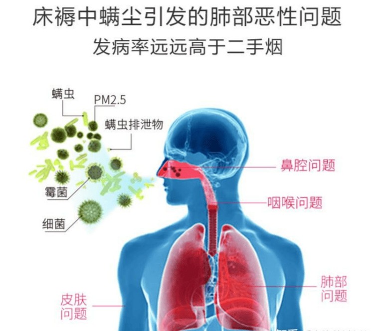 十大除螨仪综合测评：高质量除螨仪十大文明用语排行榜最新
