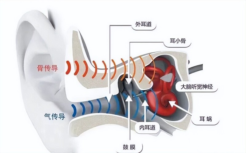 开放式耳机是什么意思？开放式耳机哪个品牌好？高性价比款式推荐