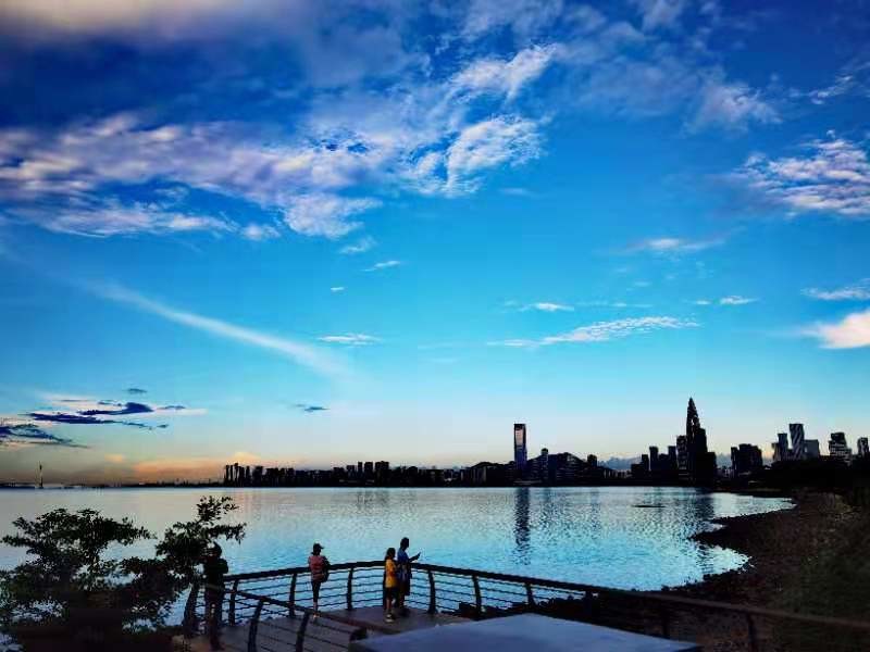 天高云淡深圳湾