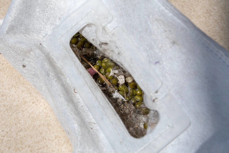 浦瑞克N8Plus宠物净毛宝体验：做一个聪明的扫地机器人