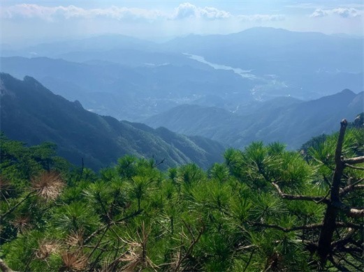 施贝安丨遇鉴大别山，施贝安阜阳地区VIP皖西亲水之旅圆满落幕！
