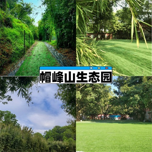 广州黄埔区农家乐团建一日游地点