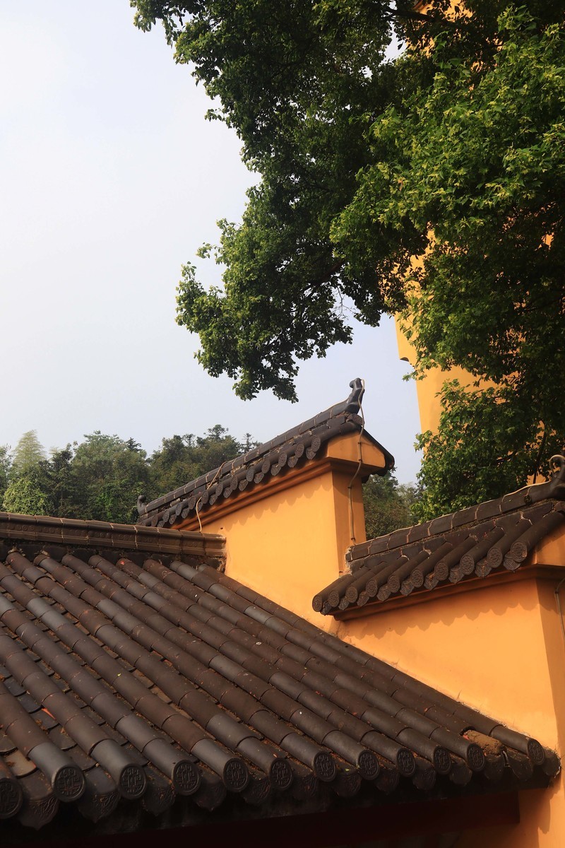 游览九华山望华禅寺