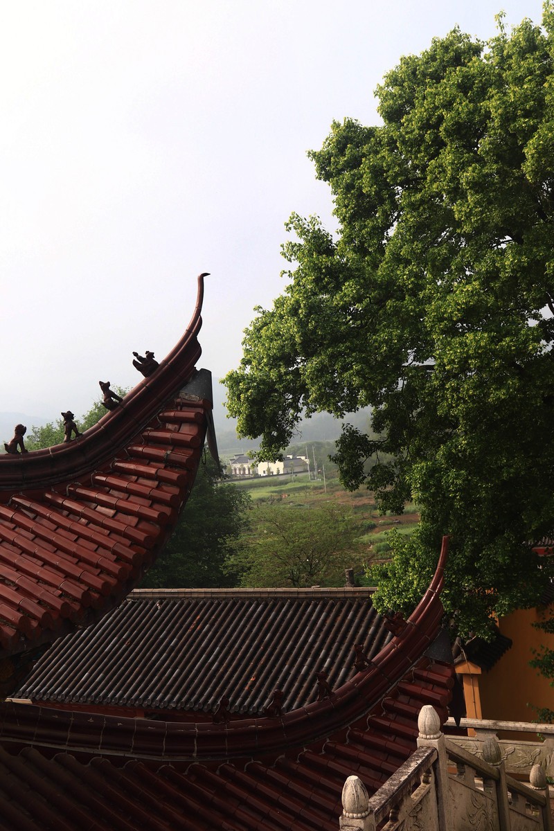 游览九华山望华禅寺