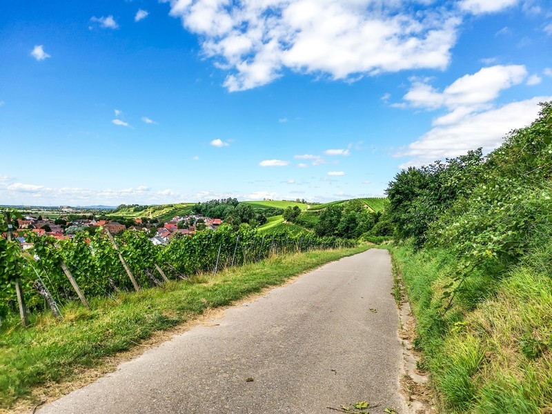 手机秀光影（南德田园风光）