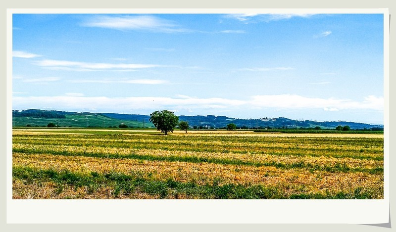 手机秀光影（南德田园风光）