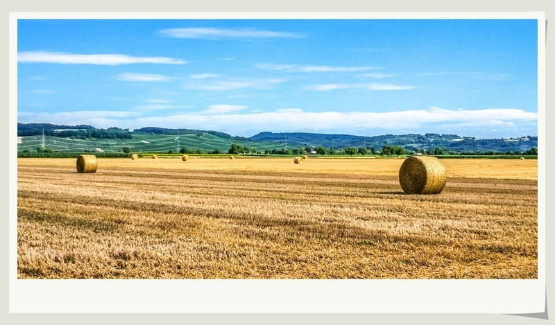 手机秀光影（南德田园风光）