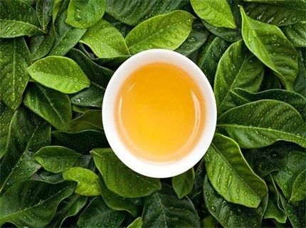 一分钟了解丨宁波品茶“工作室大慈禅茶社必打卡