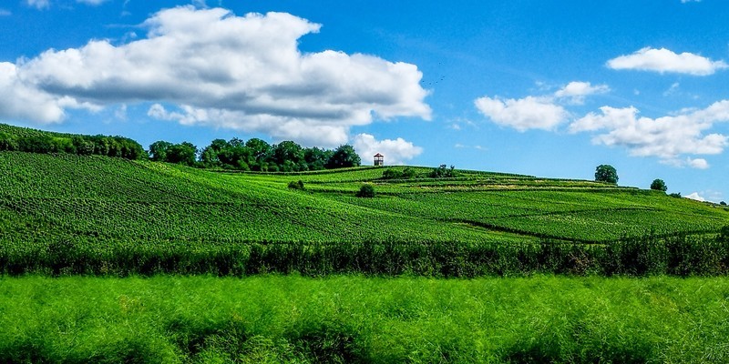 手机秀光影（南德田园风光）