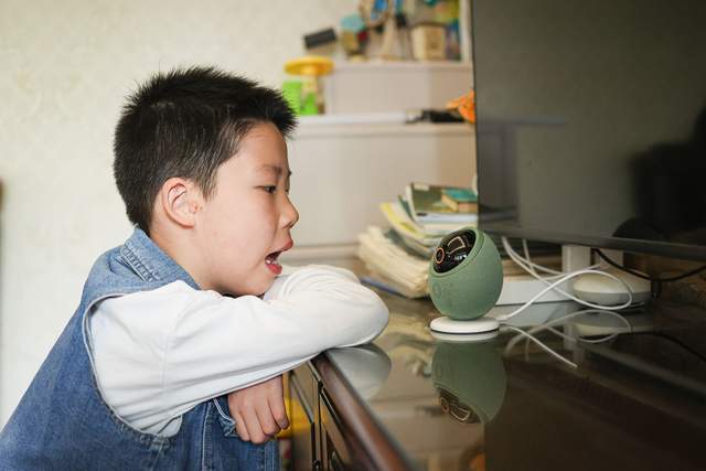 华为智选海雀雀蛋Max，具身智能重塑家庭看护标杆