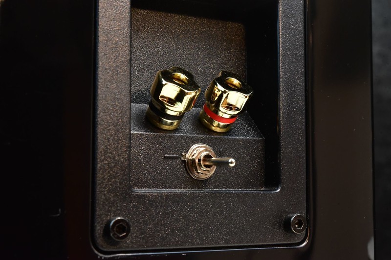 一寸小一寸巧，自然声4寸全频NS14无源箱试听分享