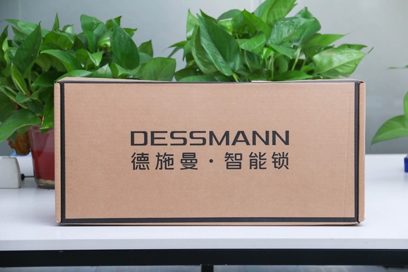 德施曼Q50MPro智能锁：4寸高清室内大屏，支持远程通话、九大解锁功能