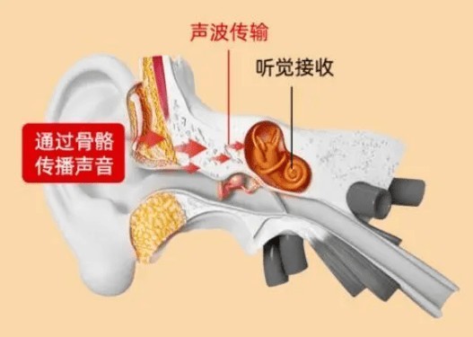 骨感耳机对耳朵伤害大吗？骨传导耳机详细科普