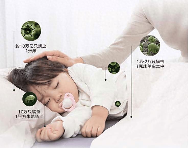 618要买床上除螨仪推荐哪款？2025年这五款高性价比机型闭眼入！