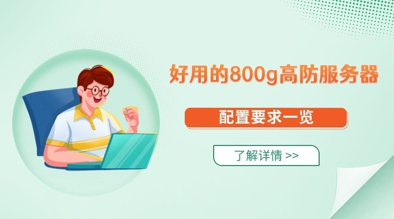 好用的800g高防服务器配置要求一览