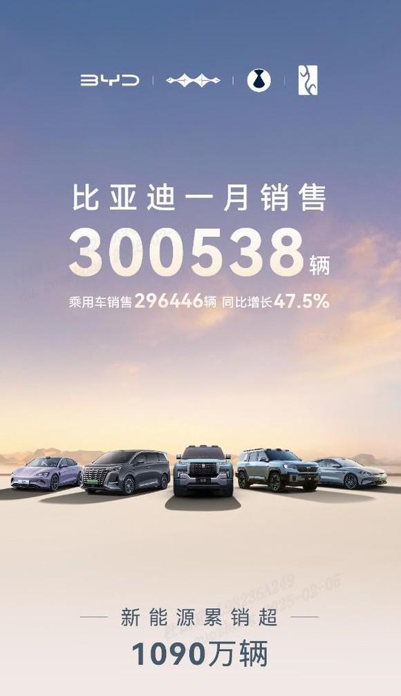 2025年1月比亚迪销量超30万辆,海外市场销量达6.63万辆