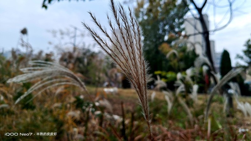 入手iQOO Neo7，不愧为“水桶机皇”！一周体验 新鲜+惊喜