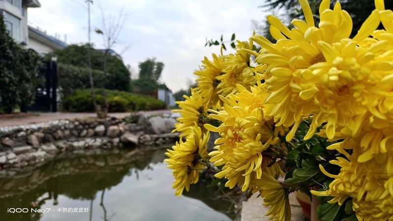 入手iQOO Neo7，不愧为“水桶机皇”！一周体验 新鲜+惊喜