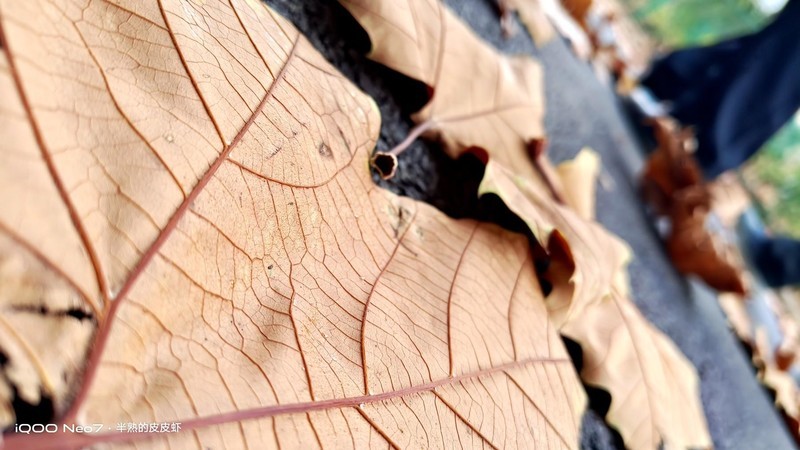 入手iQOO Neo7，不愧为“水桶机皇”！一周体验 新鲜+惊喜