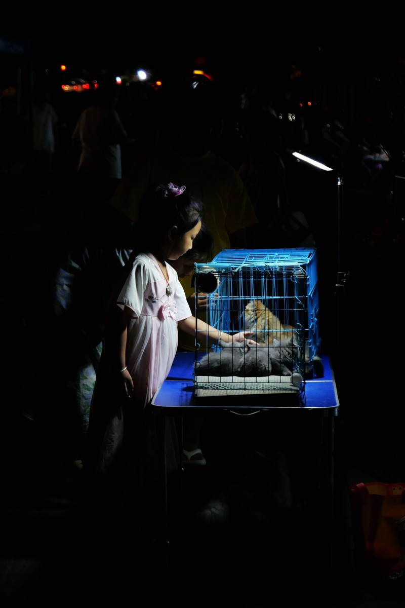 卡片机拍夜景吃力之二