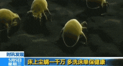 开箱测评 蓝宝双杯除螨仪，没“螨”生活，守护家人健康