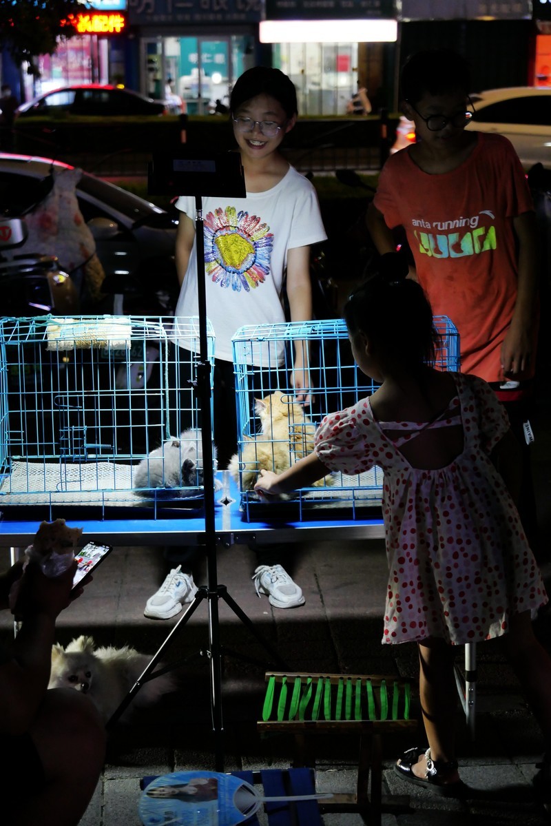 卡片机拍夜景吃力之一