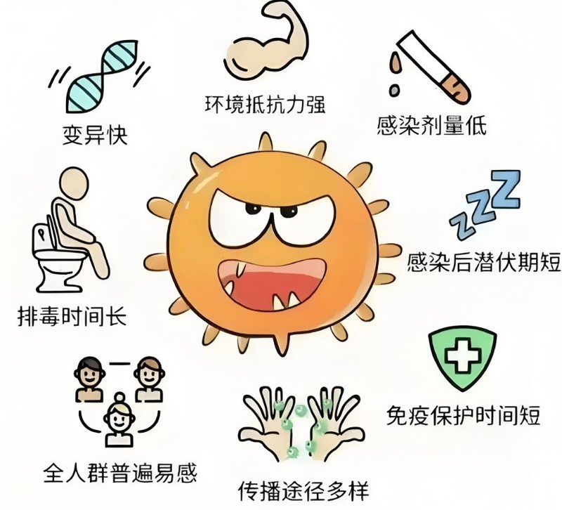 除螨仪哪款性价比高？十大公认好用的除螨仪！口碑公认质量佳！