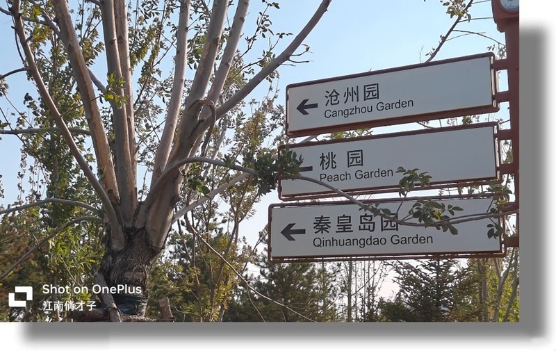 “不将就”的它勇夺双11销冠，一加Ace 2 Pro手机24GB+1TB版入手体验