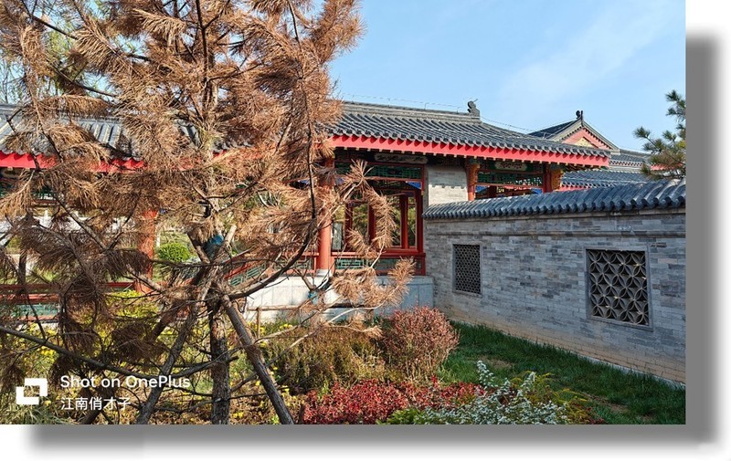 “不将就”的它勇夺双11销冠，一加Ace 2 Pro手机24GB+1TB版入手体验