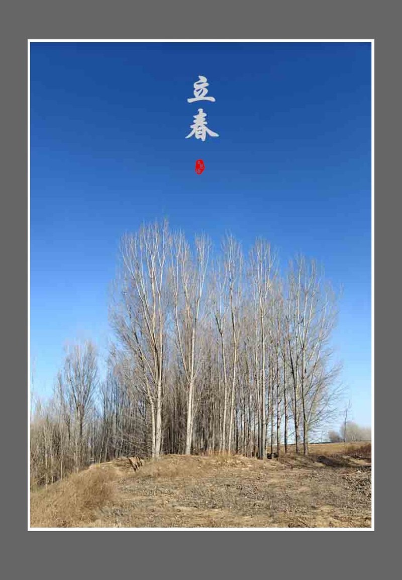 《每日欣赏》！！！