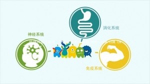 “免疫尖兵”——EpiCor食用非活性酵母到底是什么？