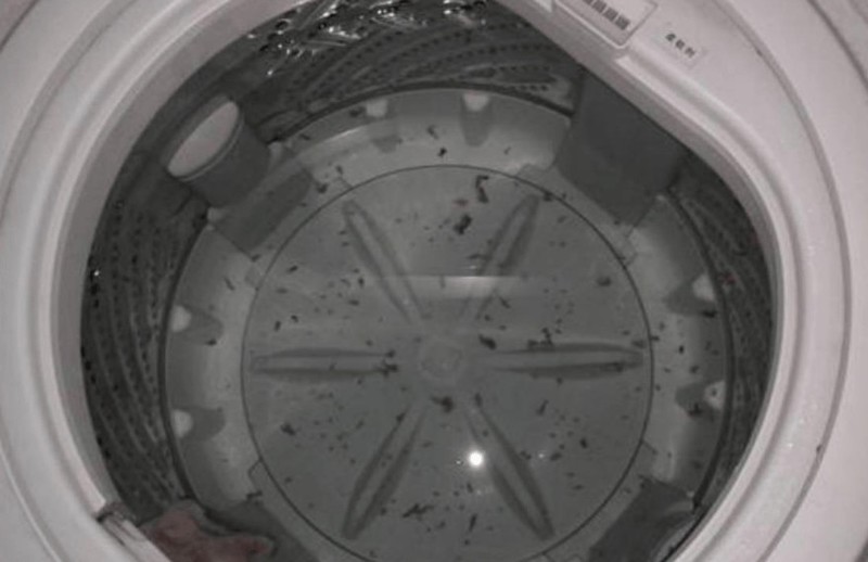 内衣内裤洗衣机品牌哪个好？热门内衣洗衣机十大品牌排行榜分享