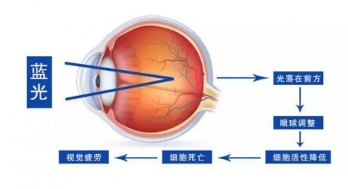 哪个牌子的护眼台灯比较好？2025护眼灯品牌排行前十名热门推荐
