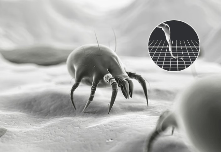 除螨仪真的有用吗?2025 年这5款性价比超高的除螨仪闭眼入！