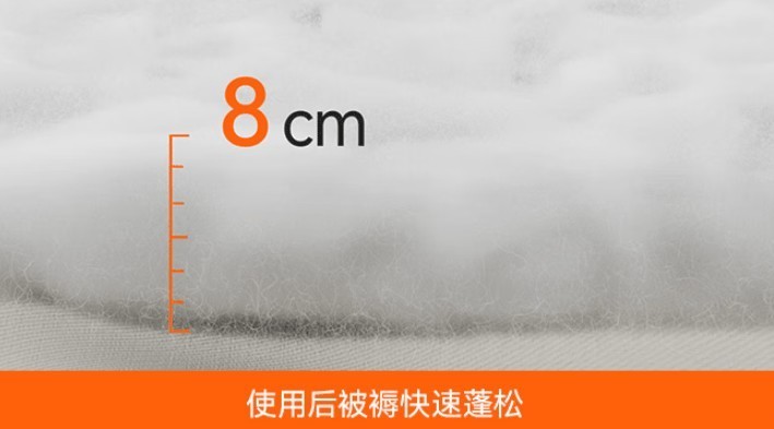 除螨仪真的有用吗?2025 年这5款性价比超高的除螨仪闭眼入！