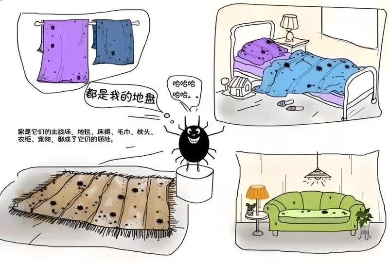 家中有必要买除螨仪吗？2025年5款实测效果超棒的除螨仪推荐！