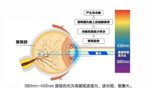 学生护眼灯品牌排行前十名分享：小学生护眼灯哪个牌子好用又实惠