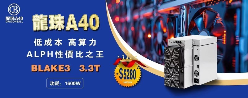 ALPH明日之星 龍珠A40火爆来袭