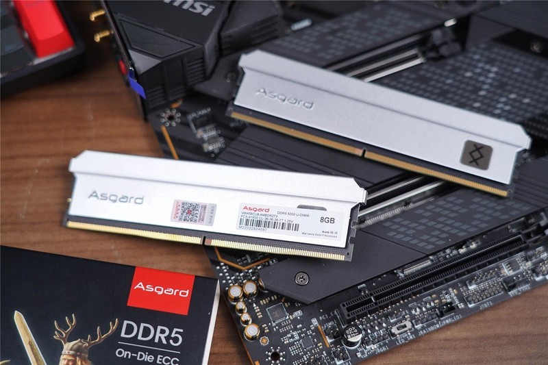 国产DDR5新霸主问世，阿斯加特 弗雷系列上线，单挑国外品牌