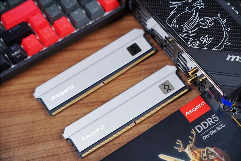 国产DDR5新霸主问世，阿斯加特 弗雷系列上线，单挑国外品牌