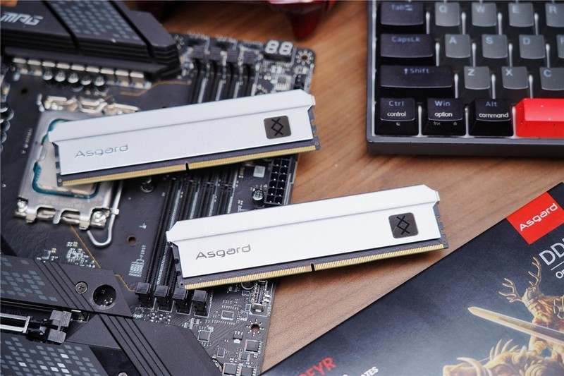 国产DDR5新霸主问世，阿斯加特 弗雷系列上线，单挑国外品牌