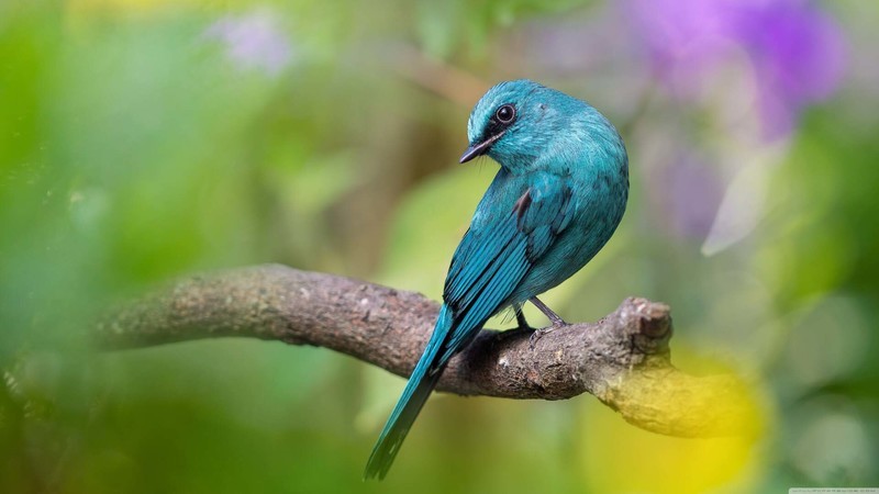 高端更疯狂，微星MPG 322URX ，用DP 2.1+QD-OLED打造无敌显示盛宴