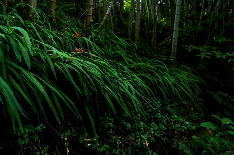 高端更疯狂，微星MPG 322URX ，用DP 2.1+QD-OLED打造无敌显示盛宴